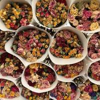 Bunga Mawar Kering Semprot Multi Head Spray Dried Rose Stems Grosir Vintage Rustic Buket Bunga Kering Asli Dekorasi Rangkaian Bunga Kerajinan DIY