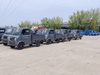 Vehículo Eléctrico, Mini Auto Eléctrico, Auto Eléctrico de Baja Velocidad, Camioneta Eléctrica Resistente para Transporte de Carga, Mini Camioneta Eléctrica de Dos Asientos