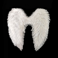 Ailes d'ange, ailes de démon, ailes en plumes pour Halloween, Noël, carnaval, cosplay, accessoires de scène de mariage, cadeau pour enfants, fournitures de fête