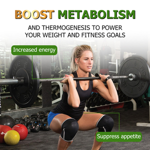 Custom Label Green Coffee Bean <b>Supplement</b> Natural Slimming Capsules Burn Belly Fat Support Gut Health Women Fat Burner Capsules - Product Image 6
