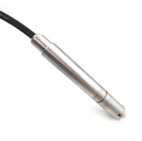 Sonde de 19 mm, 4-20 mA, piezomètre hydrostatique en acier inoxydable, capteur de niveau d'eau submersible, transmetteur pour puits profond