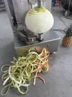 SAIDASHI Commerciële Elektrische Fruit Schilmachine Pin Type Sinaasappel Citroen Appel Schiller 220V 320W