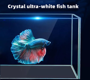 <span class=keywords><strong>Acquario</strong></span> da Tavolo Ottagonale Ecologico in Vetro Spesso 6mm con Sistema di Filtrazione e Pompa <span class=keywords><strong>d</strong></span>'<span class=keywords><strong>Acqua</strong></span> <span class=keywords><strong>per</strong></span> Soggiorno - Product Image 5