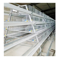 Cage à poulets de type A entièrement automatique et galvanisée pour élevage avicole – Cage essentielle pour l'élevage de poulets