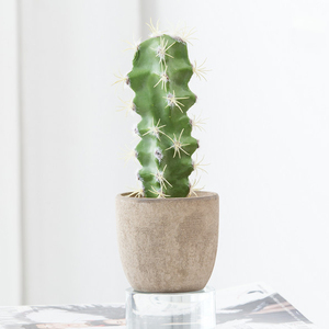 Nuevo diseño barato al por mayor lindo <span class=keywords><strong>cactus</strong></span> de pulpa de papel maceta artificial plantas suculentas bonsai para la venta - Product Image 1