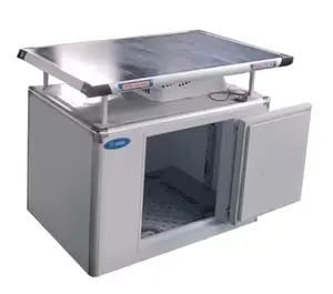 Boîte de congélation standard de 1.5m de longueur 8 à-5 degrés avec 058 unité frigorifique 75mm d'épaisseur plaque de transport de lait et de légumes