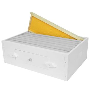 Cajas <span class=keywords><strong>de</strong></span> <span class=keywords><strong>Madera</strong></span> Medianas Super Box <span class=keywords><strong>para</strong></span> Colmenas, Marcos <span class=keywords><strong>de</strong></span> Plástico con <span class=keywords><strong>Cera</strong></span> <span class=keywords><strong>de</strong></span> <span class=keywords><strong>Abeja</strong></span> <span class=keywords><strong>para</strong></span> Apicultura (Sin Ensamblar) - Product Image 6