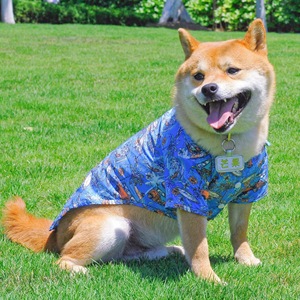Vêtements pour animaux de compagnie Golden Teddy, chemise de style <span class=keywords><strong>plage</strong></span> hawaïenne avec fruits, ananas, <span class=keywords><strong>cocotier</strong></span>, vêtements décontractés pour chien et chat, vêtements d'été - Product Image 3