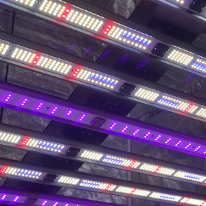 ไฟปลูกต้นไม้ Samsung LM301H Evo LED กำลังไฟ 800W-1500W สเปกตรัมเต็มรูปแบบ พร้อมแสง UV IR สำหรับการปลูกพืชแบบไฮโดรโปนิกส์ เพื่อการเจริญเติบโตและการออกดอกของพืชที่ดีขึ้น - Product Image 4