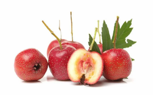 Rifornimento di fabbrica estratto di bacche di biancospino in polvere 10% 60% 80% Flavone di biancospino - Product Image 3