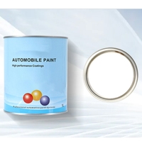 Peinture automobile B1K Medium Coarse White Pearl pour réparation de carrosserie