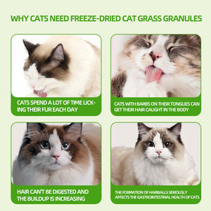 מפעל חתול יבש מותאם אישית להקפיא 100% תזונה גבוהה פרימיום oem מותאם אישית מזון לחיות מחמד אספקה מקלות דשא חתול עשה - Product Image 3