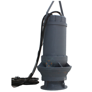 Bomba Sumergible Vertical de Flujo Axial de Gran Capacidad y Alta Calidad para Control de Inundaciones y Drenaje - Product Image 1
