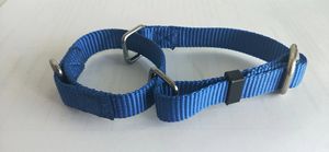 बड़े मध्यम और छोटे कुत्तों के लिए राजकथा मूल मार्टिंगेल कुत्ते कॉलर और चमकदार रंगों में भारी शुल्क नायलॉन - Product Image 2