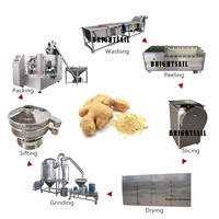 Broyeur de poudre de gingembre et d'ail sec, machine à moudre pour poudre fine