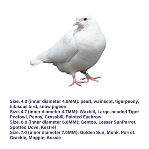 Bagues de pied pour oiseaux, anneaux d'identification multicolores en aluminium à bouche fermée pour Xuan Feng, Small Sun (6,0 mm, 50 pièces) - Product Image 3