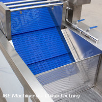 Commerciële belwasmachine voor fruit, groenten, appel, olijf, chili, bladgroenten, voedselverwerkingsapparatuur