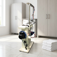 Blanchisserie et magasin de nettoyage à sec détachant aspirateur détachant