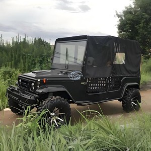 Voiture tout-terrain de type Jeep à ouverture latérale pour le tourisme, utilitaire, ATV, pour le camping, le ranch, les sorties en plein air et le transport de passagers - Product Image 6