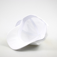 Chapeaux de golf personnalisés à 6 panneaux avec logo brodé Polyester imperméable perforé au laser Style sportif Motif de fruits Tissu éponge en jersey