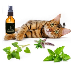 Aceite de Hierba Gatera Orgánico Premium para Gatos, Aceite Esencial de Hierba Gatera 100% Puro y Natural para Calmar, Aceite Esencial a Granel - Product Image 4