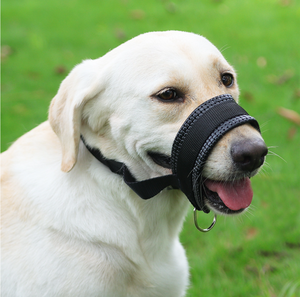 베스트 셀러 물림 방지 및 짖는 방지 총구 개 훈련 총구 조절 개 총구 - Product Image 2