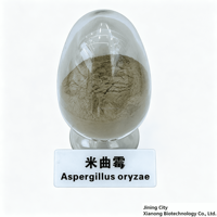 Poudre de spores d'Aspergillus Oryzae 5B CFU/g, enzymes de qualité alimentaire pour la digestibilité et la croissance du bétail et de la volaille