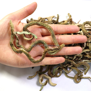 Sống Thu Hút Chất Lượng Cao Tùy Chỉnh Nước Ngọt Câu Cá Vàng Khô Tôm Lugworm Cá Mồi Cho Câu Cá Trung Chuyển Sống Mồi - Product Image 6