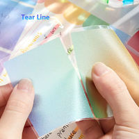 Jeu de notes autocollantes personnalisées pour animaux de compagnie Index auto-adhésif en plastique Type de marqueur de page de livre Pop Papeterie scolaire