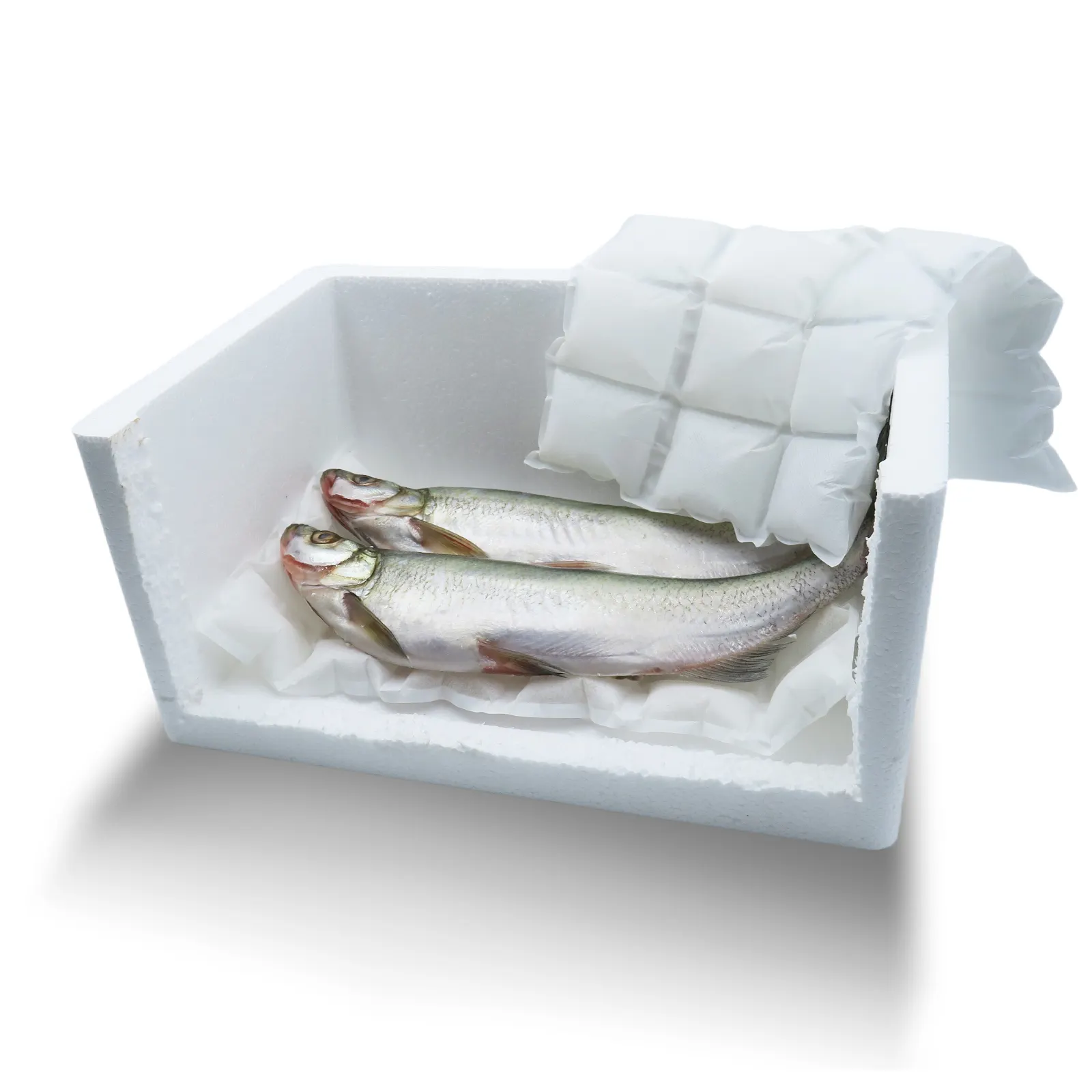 Trockeneis-Packs in Lebensmittelqualität Kühlbeutel Eisboxen für kalte frische Lebensmittel Versandgel-Eispack PE OEM Lebensmittellagerung isoliert
