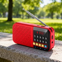 Mini-enceinte portable 5.0 avec écran numérique, lecture USB et TF, batterie rechargeable