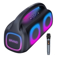 Tersedia DR-501 Penjualan Langsung Pabrik Versi Lintas Negara Portabel untuk Speaker Plastik 5.0 40W untuk Pesta KTV Sound
