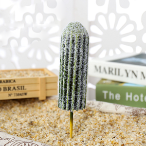 Mini décor pour pépinière, plantes de <span class=keywords><strong>Cactus</strong></span> artificielles, nouveauté - Product Image 4