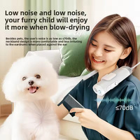 Sèche-cheveux silencieux haute puissance pour animaux de compagnie, 3 vitesses, séchage rapide pour chiens et chats, en fer, collier réglable, prise EU, recharge
