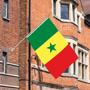 Logo personnalisé imprimé 3x5ft drapeau sénégalais fanion polyester simple face pour automobile pour les bannières nationales et drapeaux d'affichage - Product Image 5