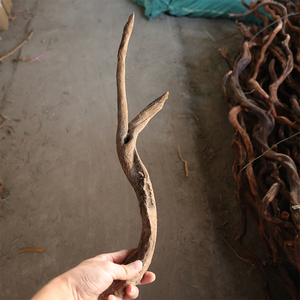 Décor d'aquarium, branches de teck violettes, vent sud-américain, petites branches de bois de soleil naturelles, décoration de réservoir à poissons, bois flotté - Product Image 5