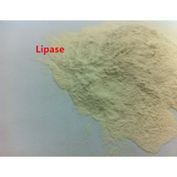 Fabricant d'enzyme lipase de haute qualité en provenance de Chine