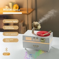 Diffuseur d'aromathérapie ultrasonique portable USB en plastique, style gramophone rétro, avec commande par application, capacité 0,5L