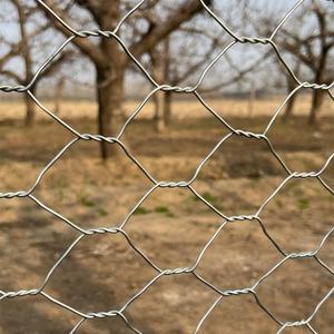 Private Customization Galvanizing PVC Coated <strong>Diameter</strong> 0.38-4.0mm Smooth Surface Steel <strong>Wire</strong> <strong>Hexagonal</strong> <strong>Rabbit</strong> Chicken Bird Cage - Product Image 4