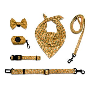 6 Piece Dog Walking Accessories Set Bow Waste Bag Collar Leash Safety Belt And Bandana For Dogs