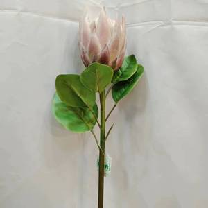 <span class=keywords><strong>Fleur</strong></span> artificielle <span class=keywords><strong>de</strong></span> protée royale <span class=keywords><strong>de</strong></span> haute qualité, toucher réel, <span class=keywords><strong>en</strong></span> soie, longue durée, pour la maison, les mariages, la fête des mères, la table - Product Image 3