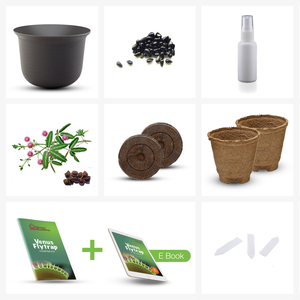 Personnalité excellente pour les débutants Cultivez votre propre kit de démarrage Venus Flytrap idée cadeau unique - Product Image 4