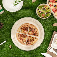 Assiettes rondes 100% compostables personnalisées de 9 à 10 pouces Assiettes en papier de canne à sucre 3 compartiments écologiques jetables pour le camping