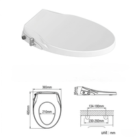 Siège de bidet à eau ambiant durable et antibactérien, allongé, avec fonction lavage arrière et hygiène féminine, couvercle à fermeture douce, pour l'amélioration de la salle de bain