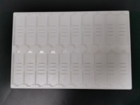Competitive Good Quality Disposable 20pcs Capacity With Laboratory Usage Slide Tray for Microscope Slide