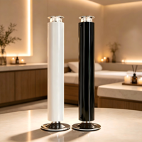 Diffuseur d'huiles essentielles rechargeable en alliage d'aluminium de luxe avec télécommande pour la maison, l'hôtel, le spa commercial, logo personnalisé