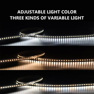 Tira de Luces LED smd2216 Flexible de Alto Lumen Súper Brillante, Iluminación Decorativa Regulable, 240led/m, CCT 2216, Tira de LED de 10mm - Product Image 3