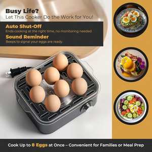 Compact Automatic <b>Electric</b> Boiling Egg Cooker Stainless Steel Restaurant Egg <b>Steamer</b> 3 Quarts 1-12 Eggs for Household Use - Product Image 3