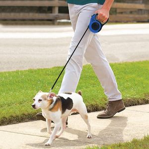 Rts Cartoon Solid Luxury Nylon Retractable <b>Dog</b> <b>Leash</b> with Traction Rope Customized Color & Logo for Small to Medium <b>Dogs</b> - Product Image 5