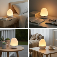 Lámpara de Noche con Forma de Huevo, 3 Colores, Regulación Continua, Control Táctil USB Tipo-C, con Memoria, para Dormitorio, Hogar y Oficina